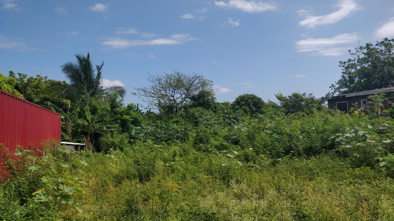 Residential Lot For Sale GALINA ST. MARY, Oracabessa 6,600,000 Keez