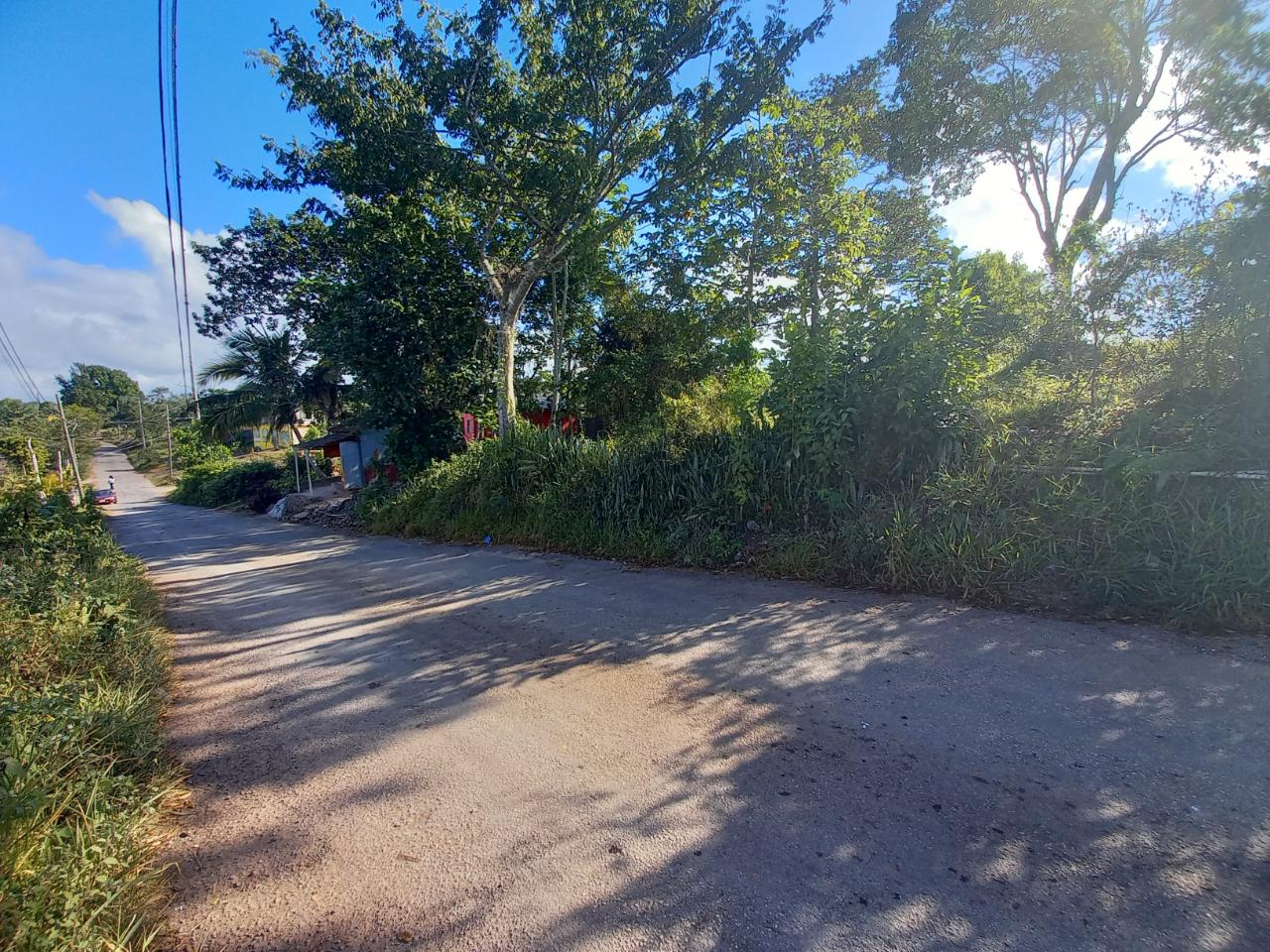 Residential Lot For Sale CEDAR GROVE ROAD, Mandeville 5,500,000 Keez