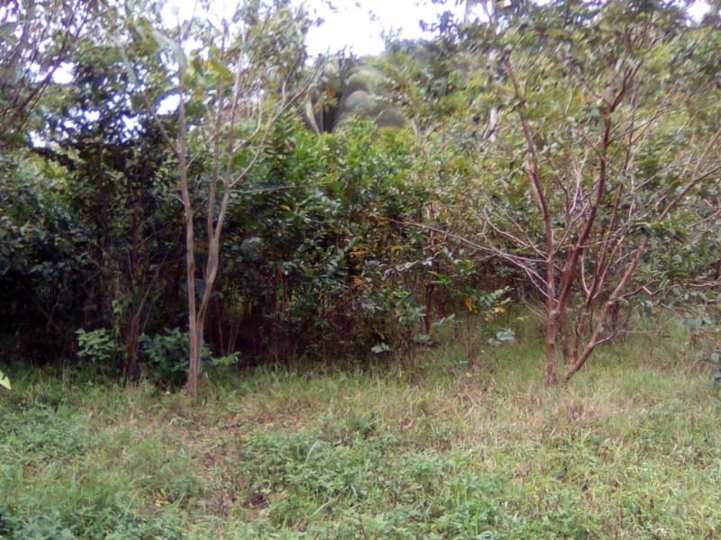 Development Land (Residential) For Sale CEDARS, SLIGOVILLE, ST CA