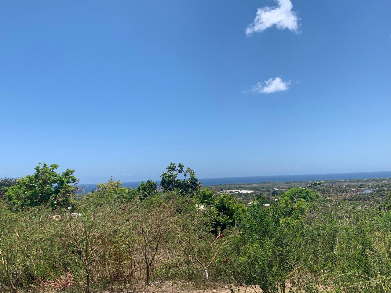 Development Land (Residential) For Sale BRIGHTON, Yallahs 9,300,000 Keez