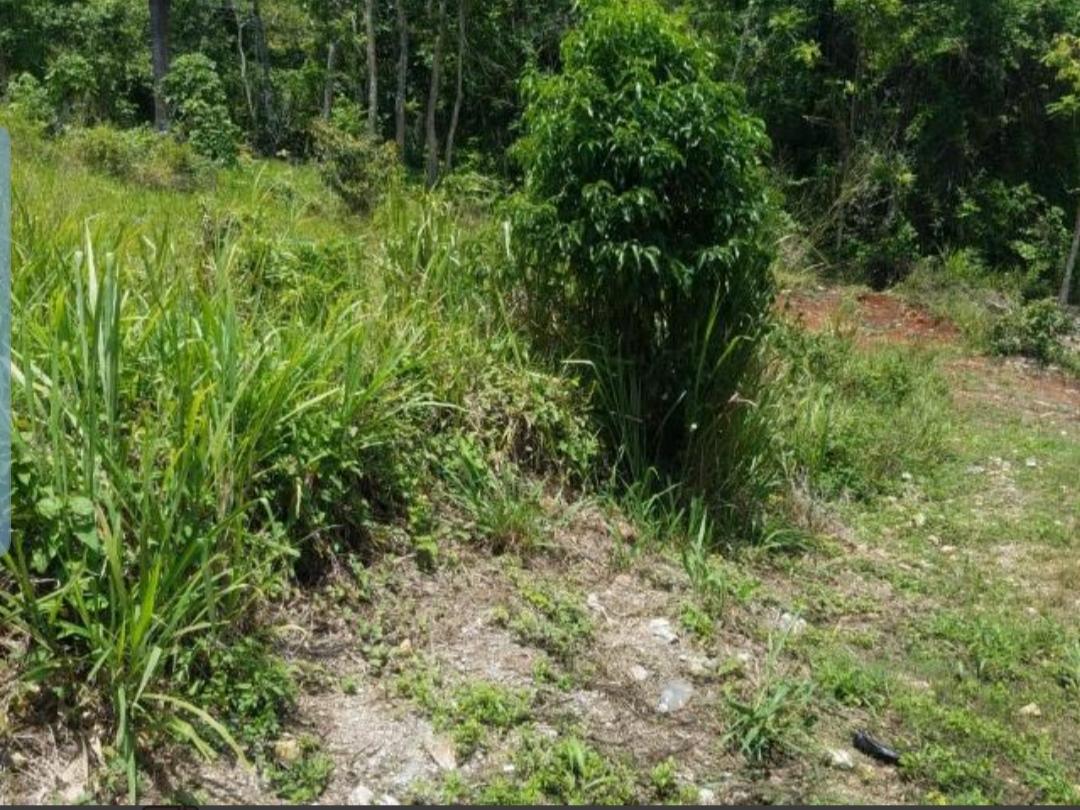 Residential Lot For Sale INDUSTRY PEN, RETREAT, Retreat 4,500,000