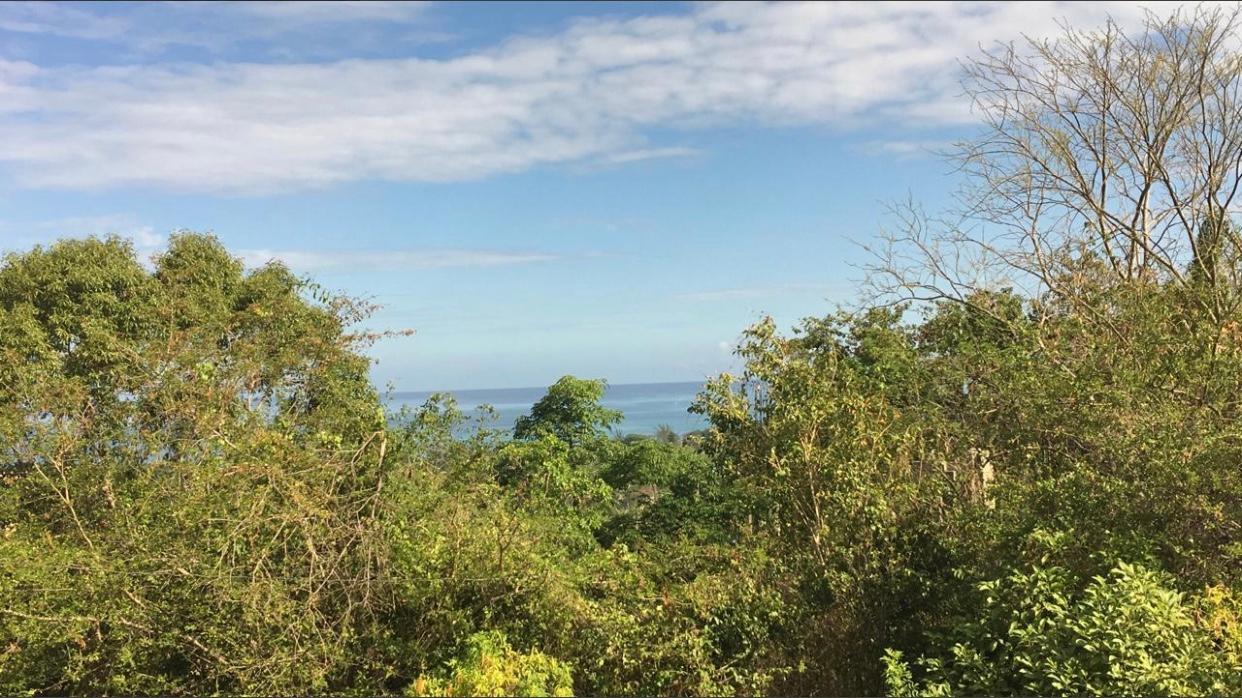Residential Lot For Sale WHITE HALL WESTMORELAND, Negril 6,500,000