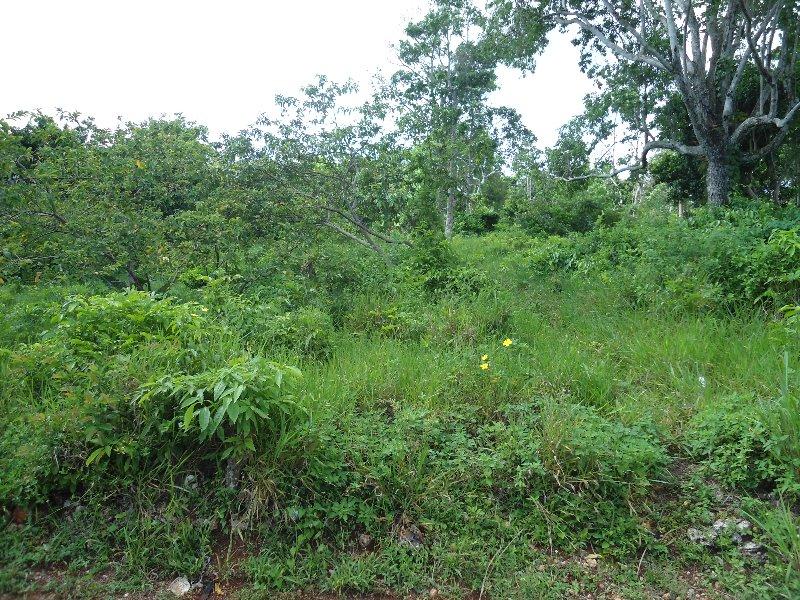 Residential Lot For Sale GOSHEN STREET, Retreat 10,000,000 Keez