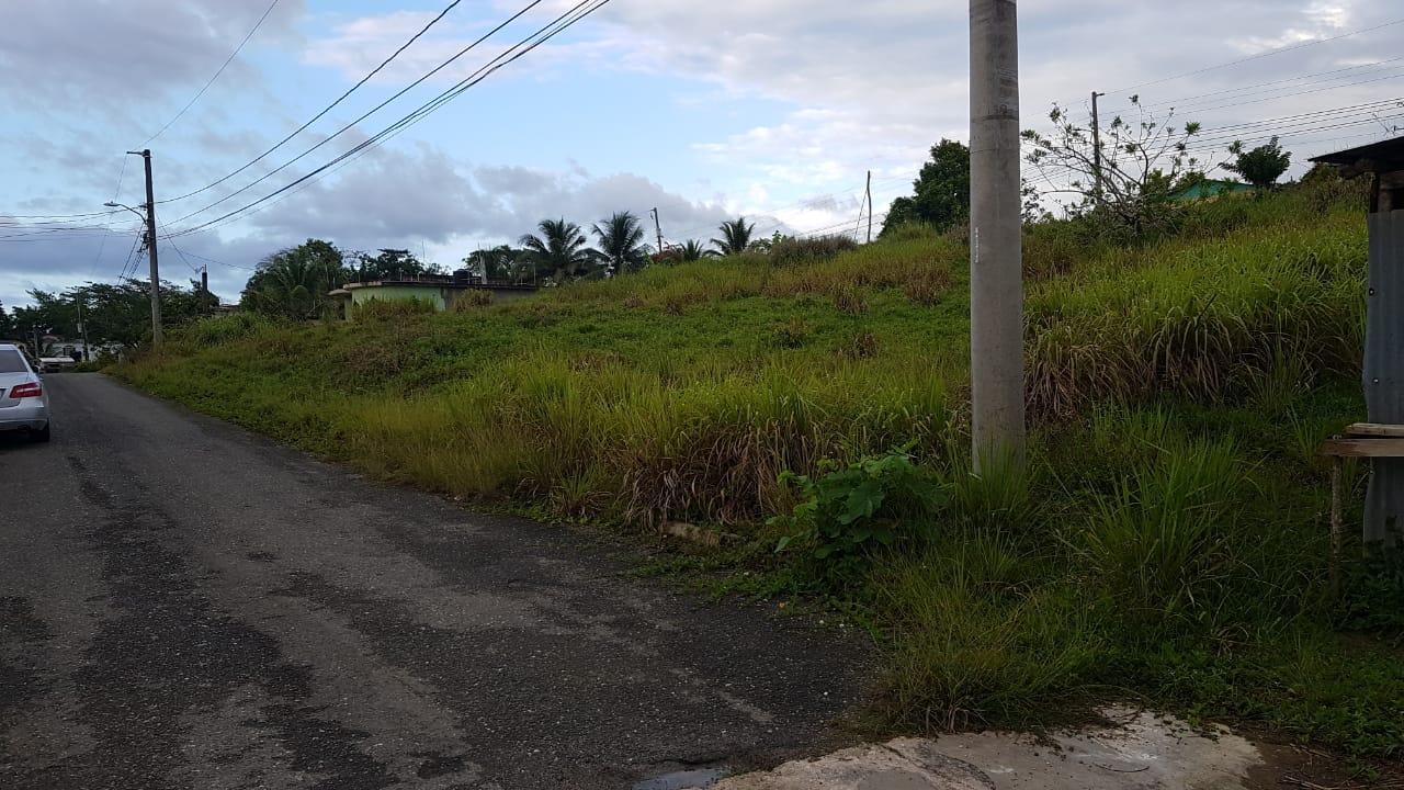 Residential Lot For Sale WINCHESTER ESTATE, Green Island 6,000,000