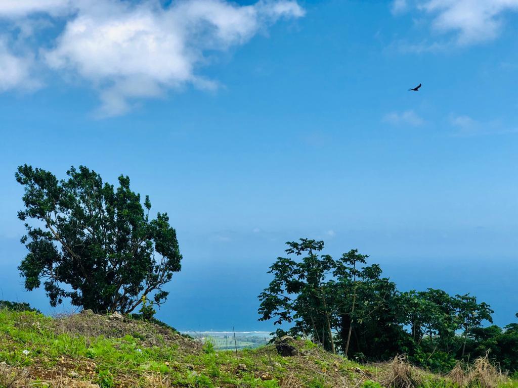 Residential Lot For Sale BAMBOO, ST. ANN, Bamboo 23,000,000 Keez