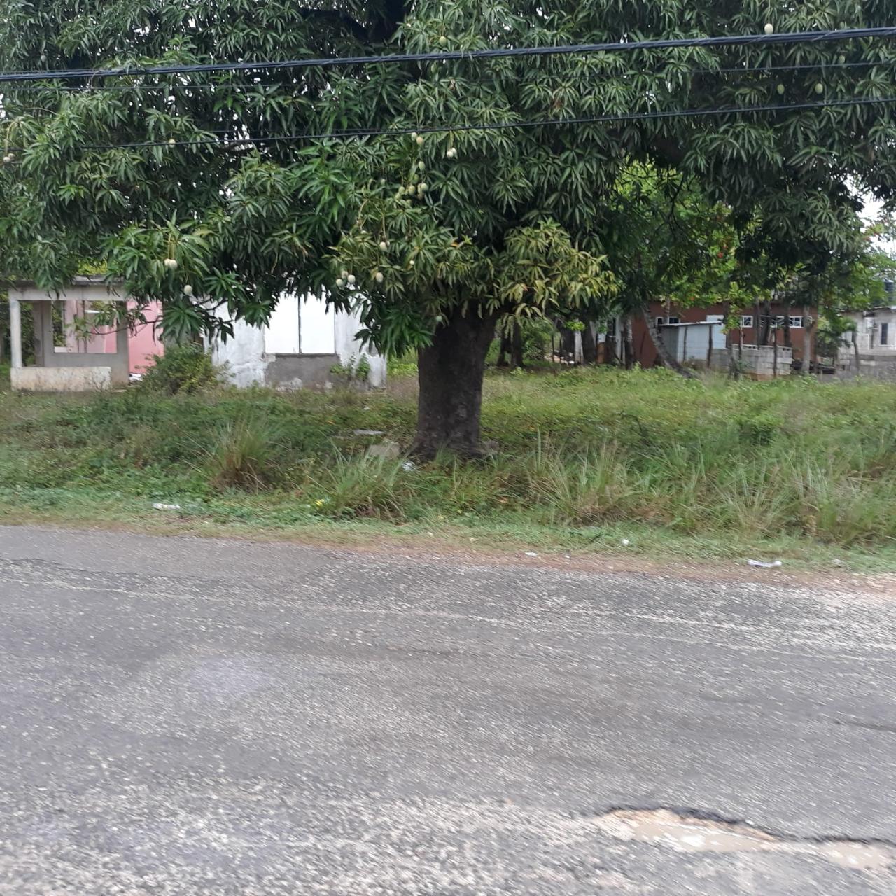 Residential Lot For Sale FYALL ESTATE, FOUR PATHS, May Pen