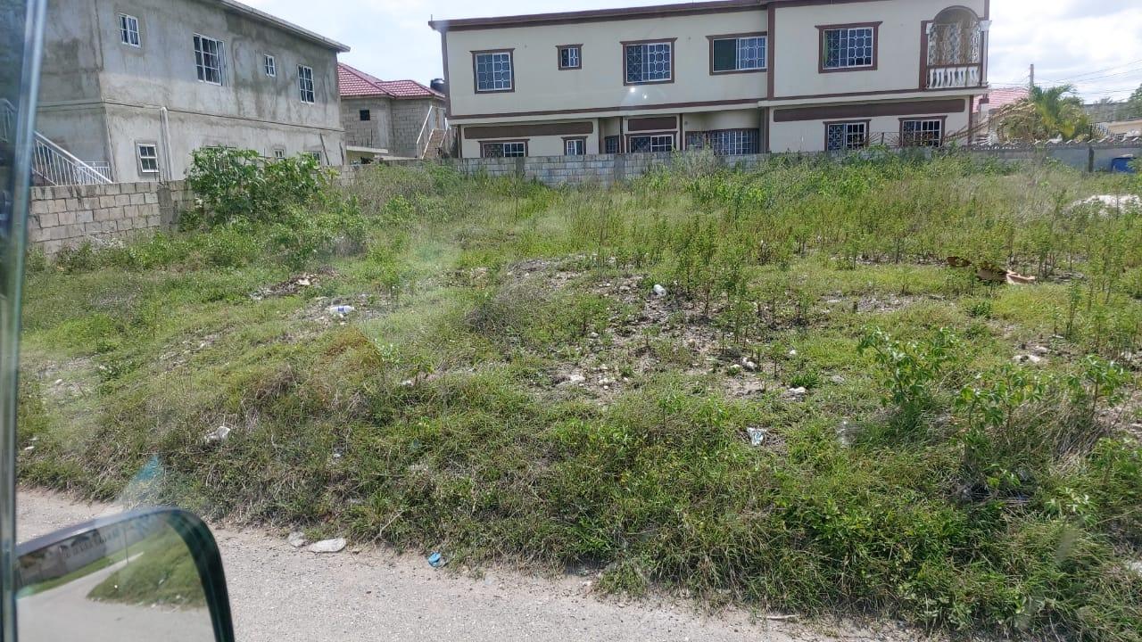 Residential Lot For Sale BONSAI DRIVE, SYDENHAM GA, Spanish Town