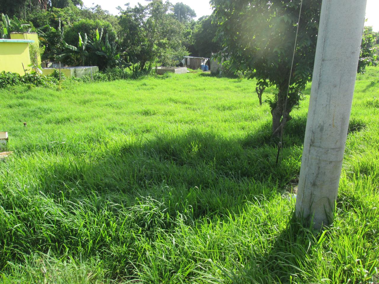 Residential Lot For Sale MINARD ESTATE, Browns Town 6,000,000 Keez