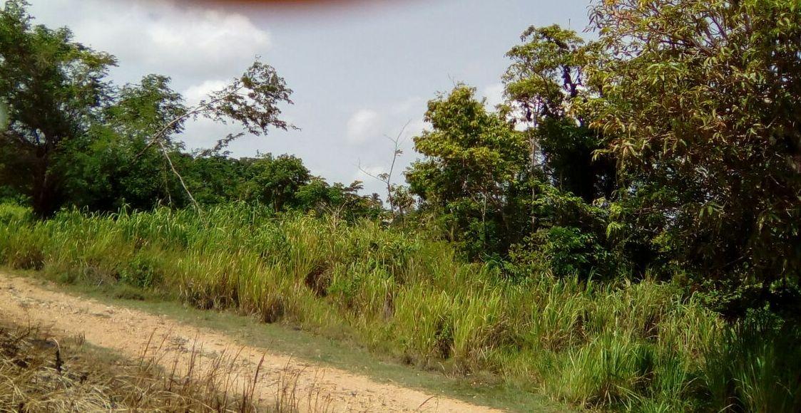 Development Land (Residential) For Sale HUDDERSFIELD, Boscobel