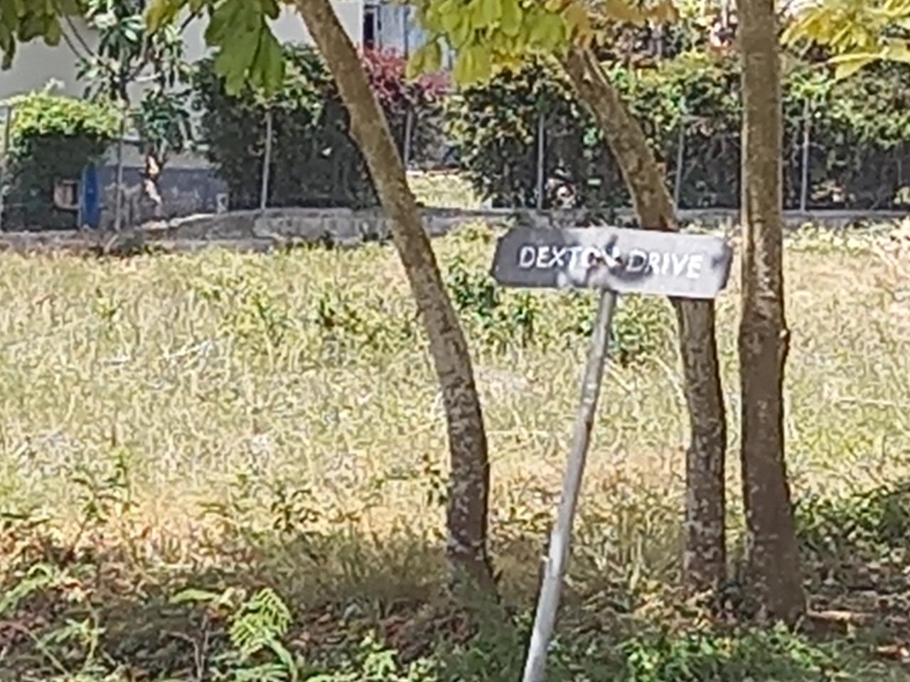 Residential Lot For Sale DEXTON DRIVE, Morant Bay 41,000 Keez