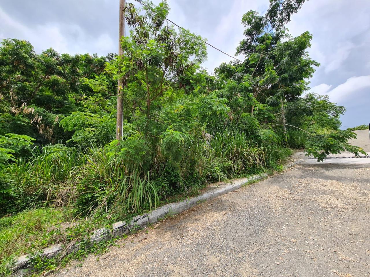 Development Land (Residential) For Sale ESTATE, Kingston 6
