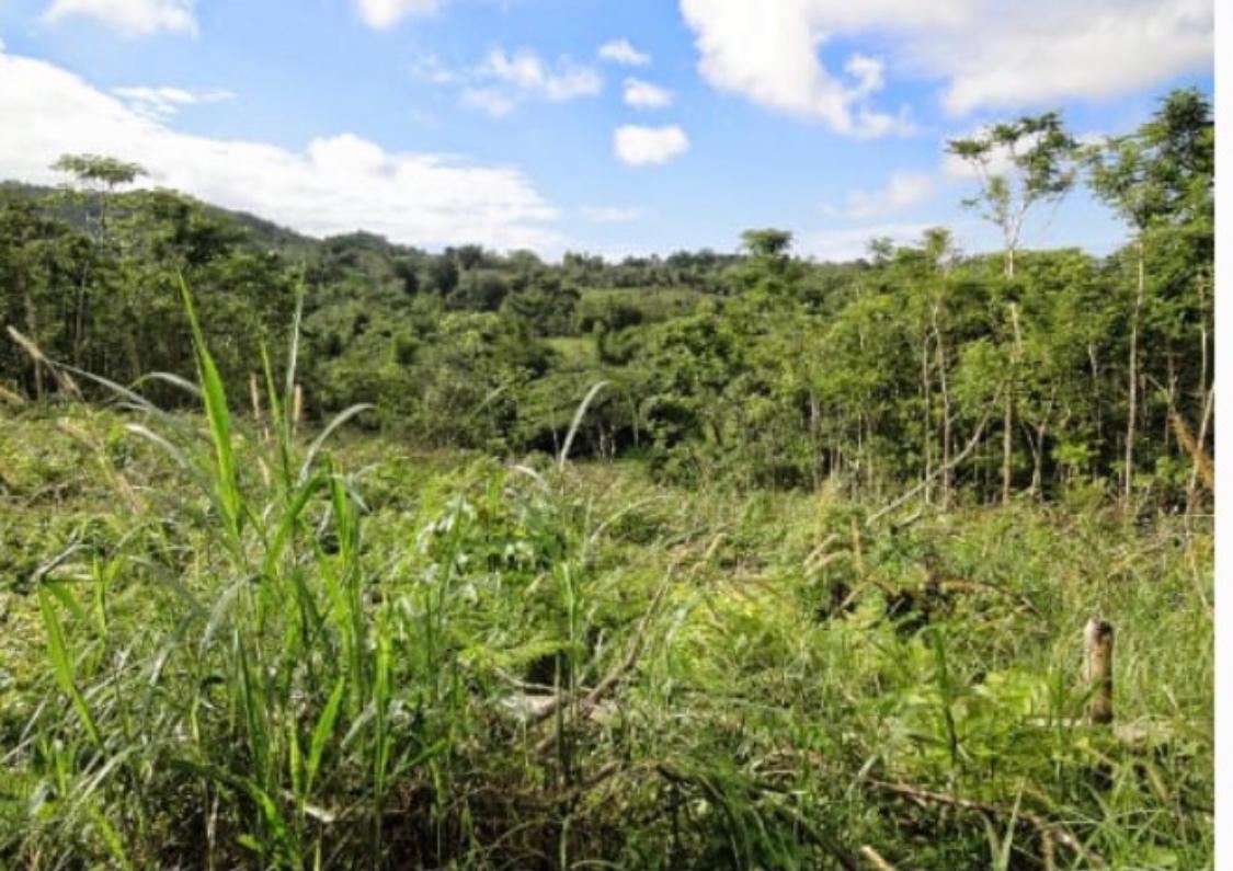 Development Land (Residential) For Sale MAMMEE RIDGE, Lime Hall