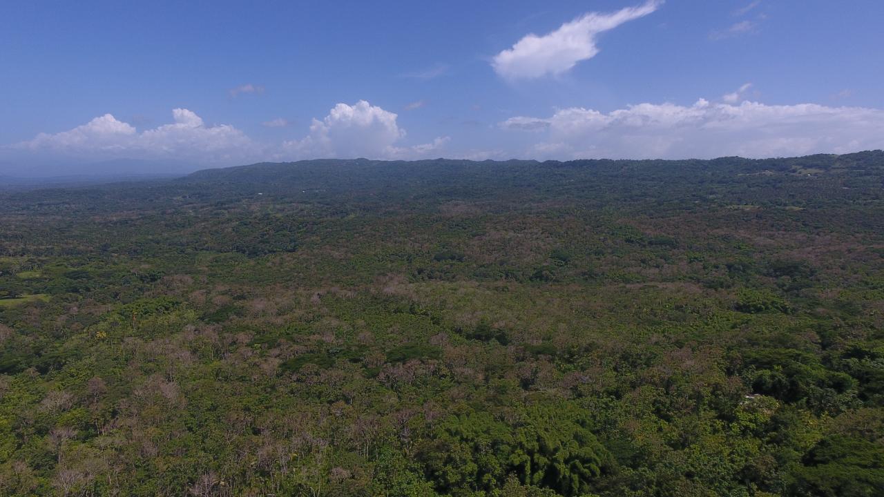 Residential Lot For Sale UNION PEN, Boscobel 29,000,000 Keez