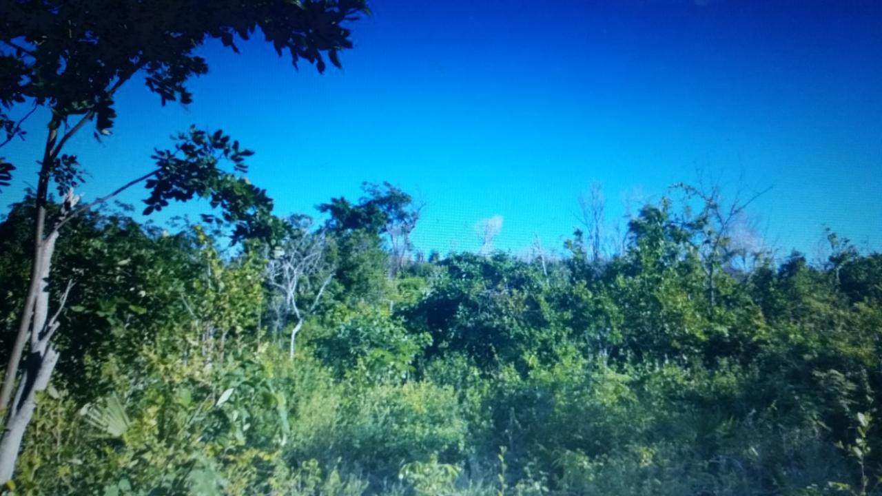 Residential Lot For Sale ALPINE WAY, Spring Garden 8,000,000 Keez