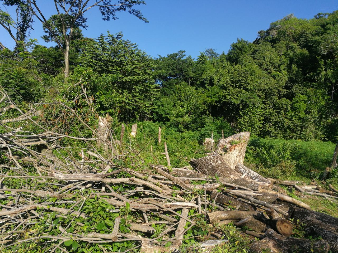 Development Land (Residential) For Sale ST. ELIZABETH, Balaclava