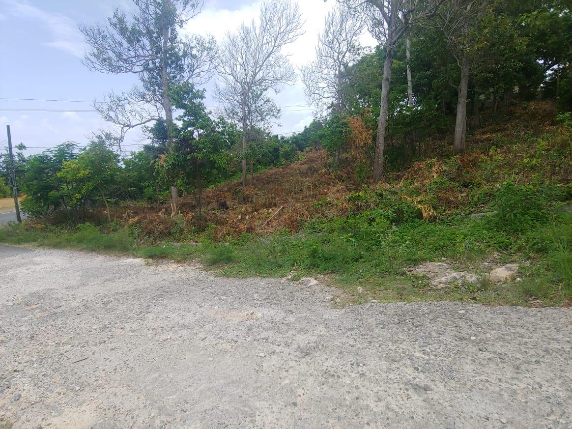 Residential Lot For Sale WENTWORTH, PORT MARIA, ST, Port Maria