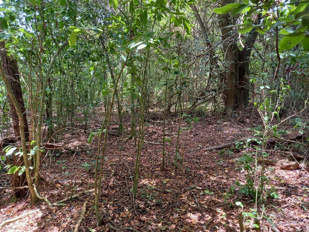 Development Land (Residential) For Sale RHINE BATH ST THOMAS, Bath