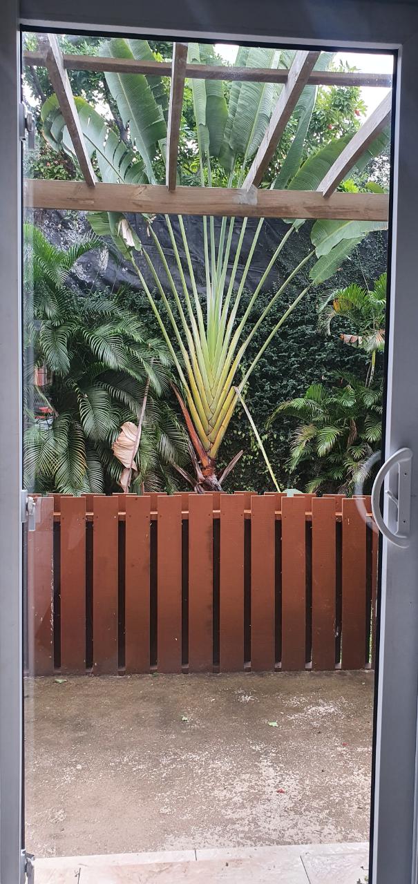 Apartment For Rent DURHAM AVENUE, Kingston 6 100,000 Keez