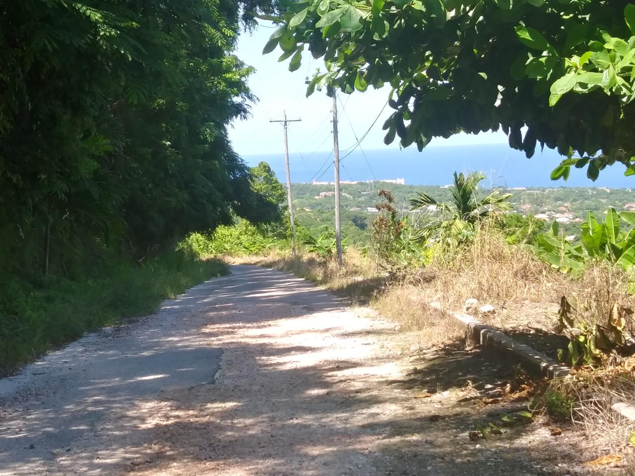 Residential Lot For Sale CARDIFF HALL PLANTATION, Runaway Bay