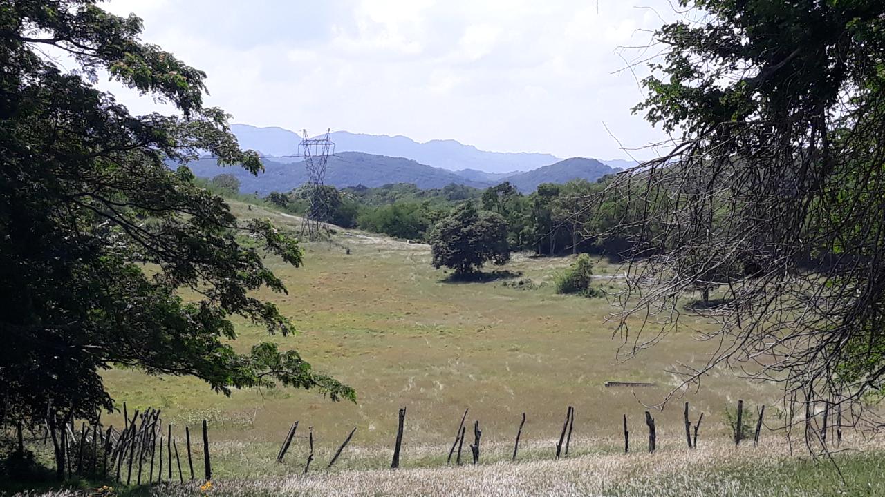 Development Land (Residential) For Sale CONTENT DISTRICT, Adelphi