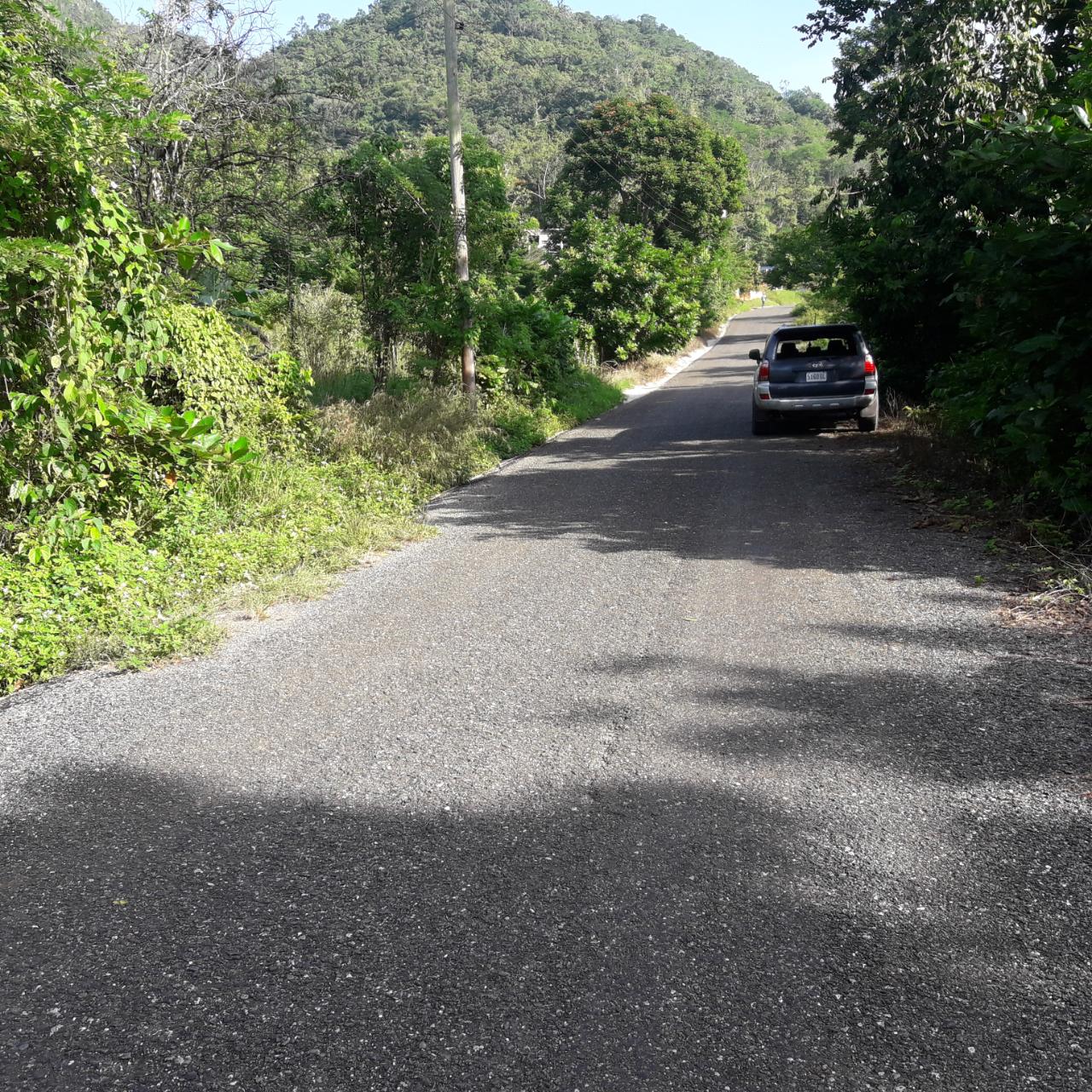 Development Land (Residential) For Sale GRIERFIELD, ST. ANN, Moneague