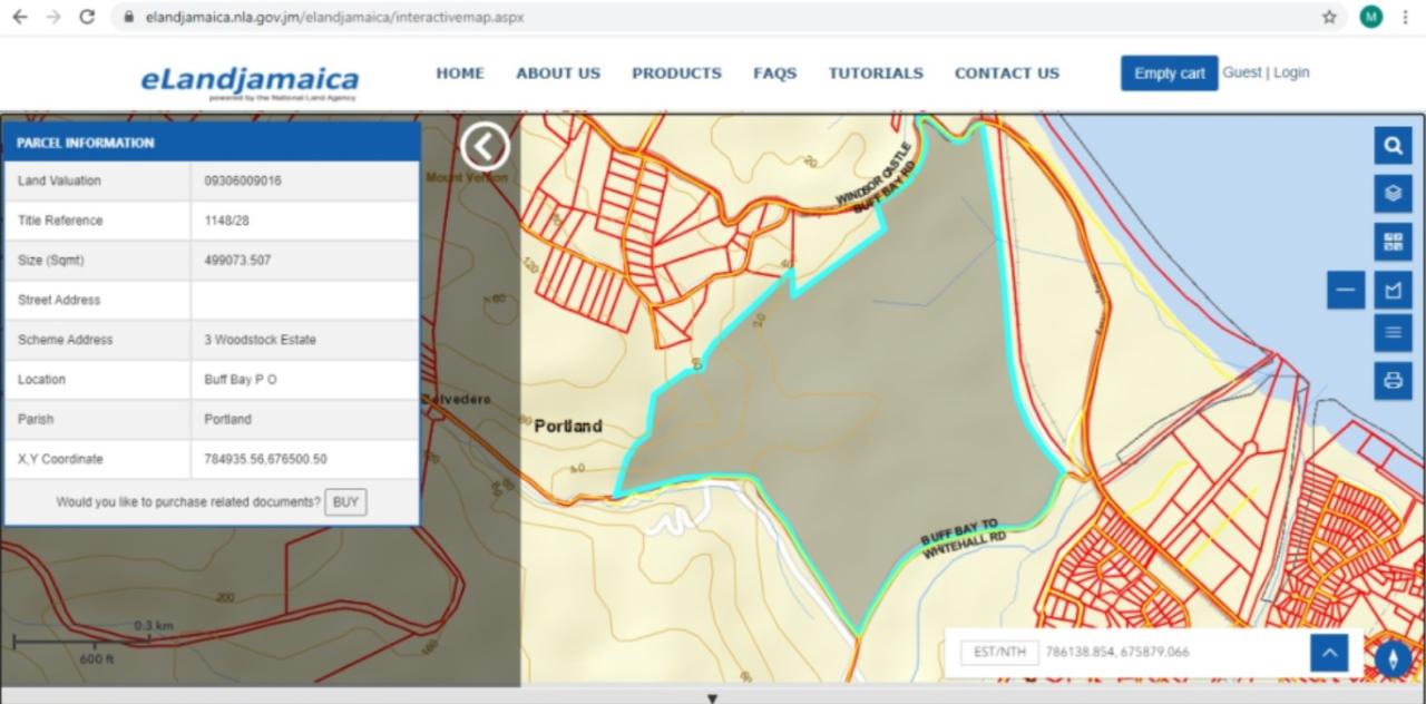 Development Land (Residential) For Sale 3 WOODSTOCK ESTATE, Buff Bay