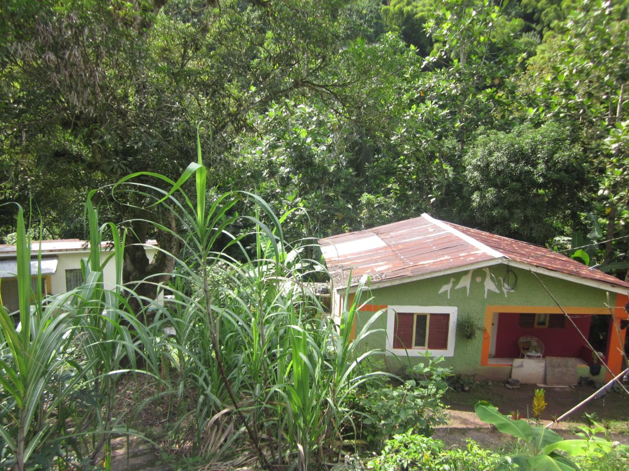 House For Sale ST. MARY, Castleton 2,800,000 Keez