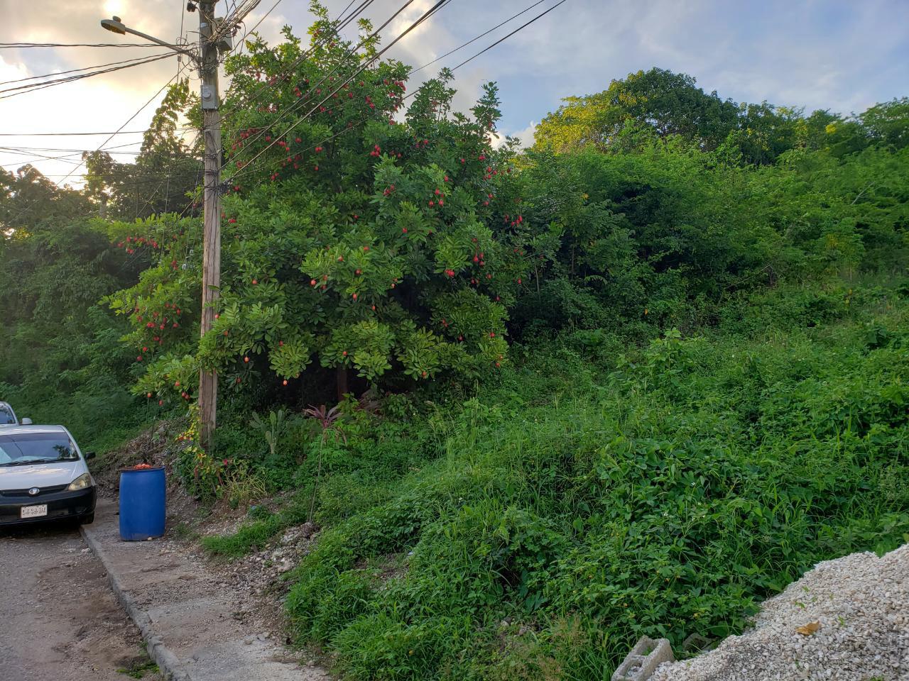 Residential Lot For Sale GRENADA COURT, CORNWALL C, Montego Bay