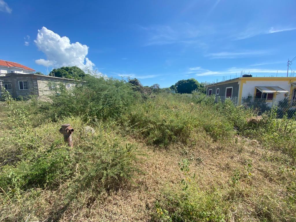 Residential Lot For Sale ALBION ESTATE, DRIFTWOOD, Yallahs