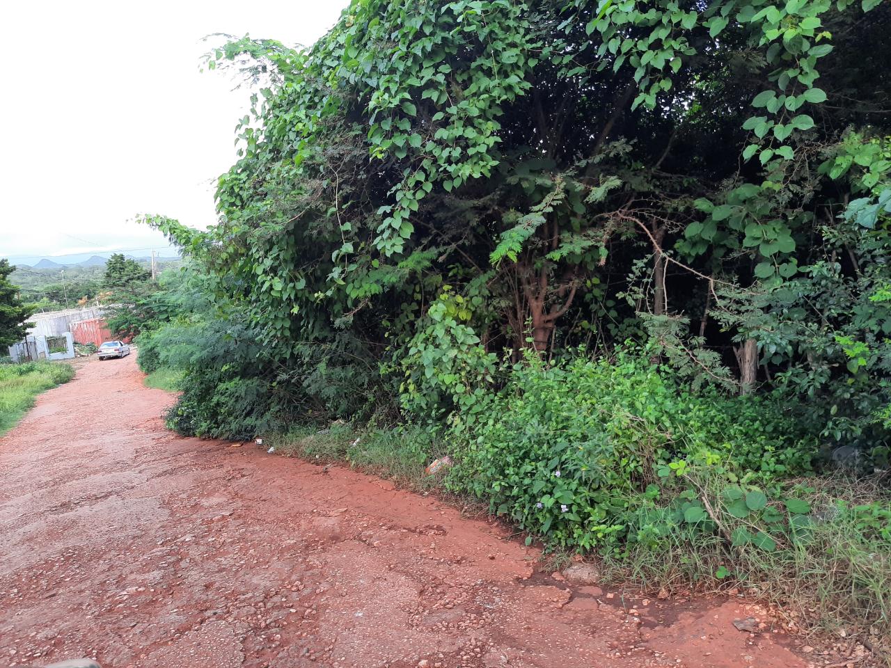 Development Land (Residential) For Sale BELLEVUE HEIGHTS, Spanish Town