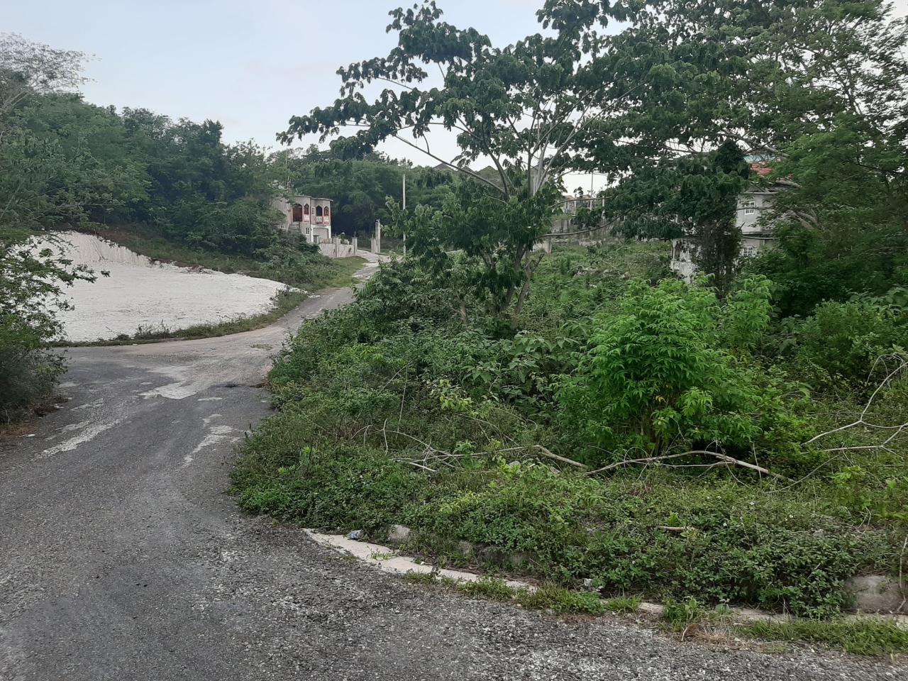 Residential Lot For Sale WHITE HALL, Negril 3,900,000 Keez