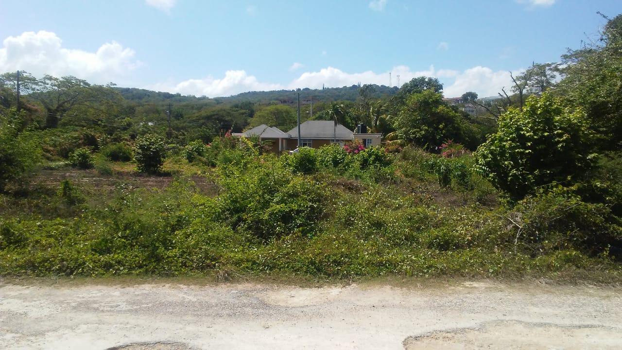 Residential Lot For Sale POINTVIEW, DUNCANS BAY, Duncans 85,000 Keez