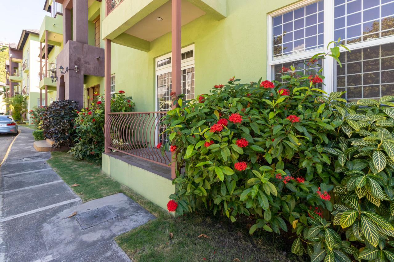 Apartment For Sale MONTE CRISTO 961/2 OLD HO, Kingston 6 39,000,000