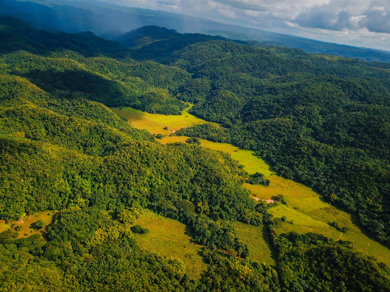 Development Land (Residential) For Sale CLARKapos;S TOWN, TRELAWNY