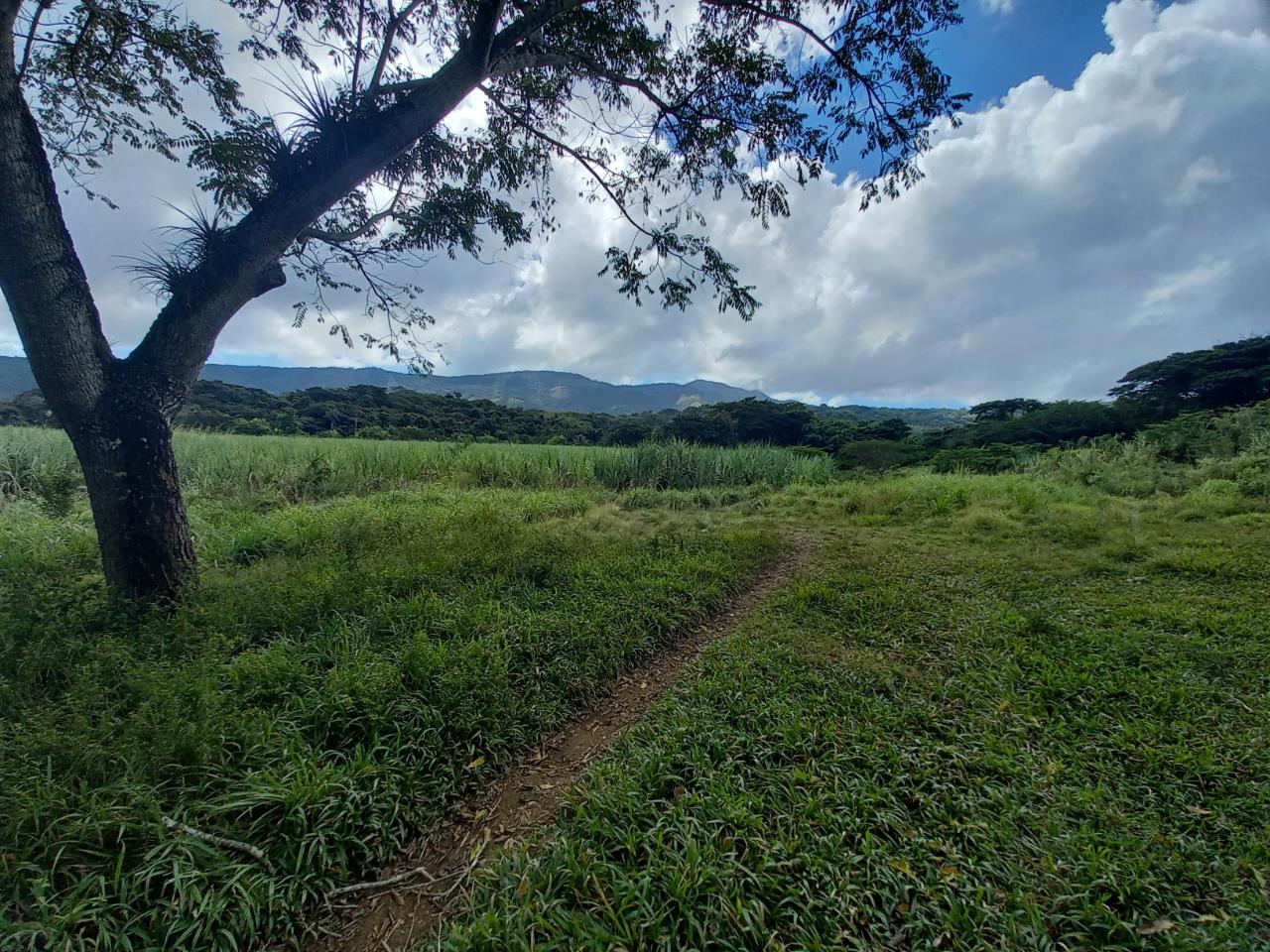 Development Land (Residential) For Sale DANVERS PEN, BLUE MTN