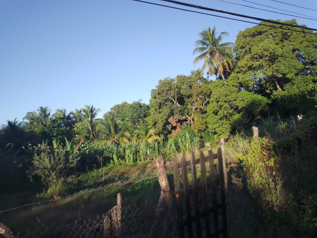 Residential Lot For Sale MARLIE MOUNT OLD HARBOUR, Old Harbour