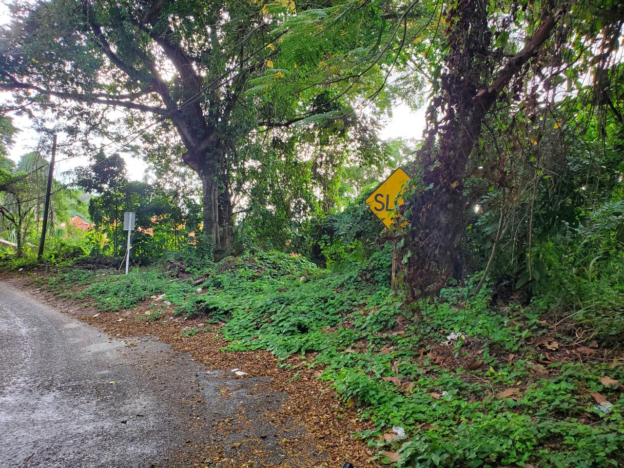 Development Land (Residential) For Sale JACKS HILL ROAD, Kingston 6