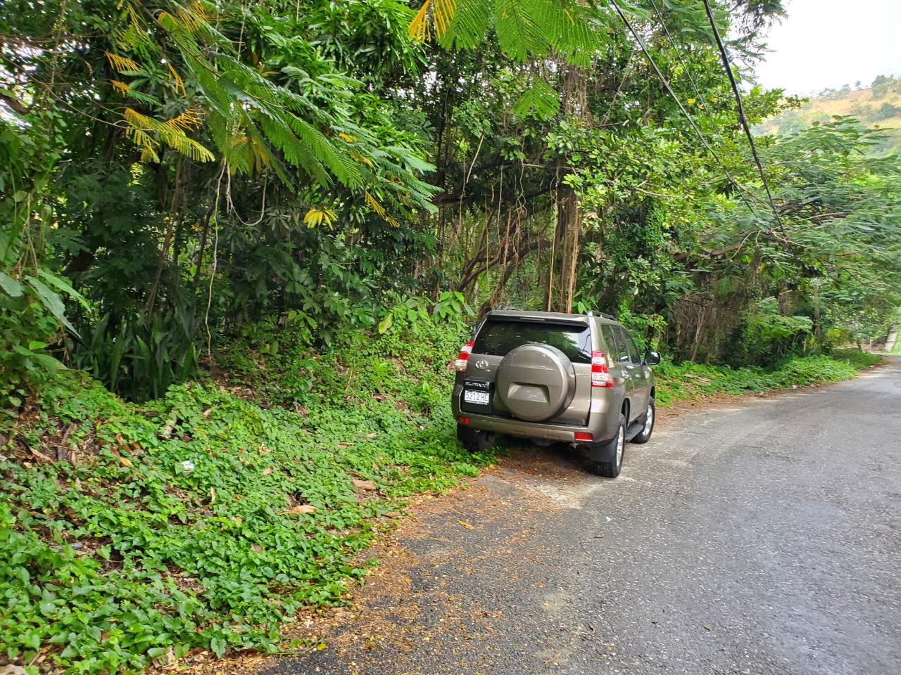 Development Land (Residential) For Sale JACKS HILL ROAD, BILLY DU