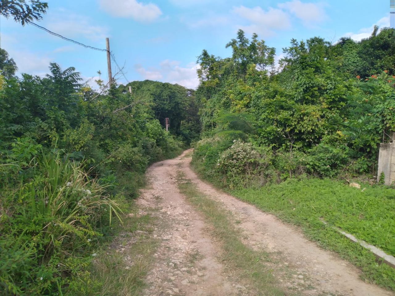 Residential Lot For Sale LIME GROVE, CARDIFF HALL, Runaway Bay