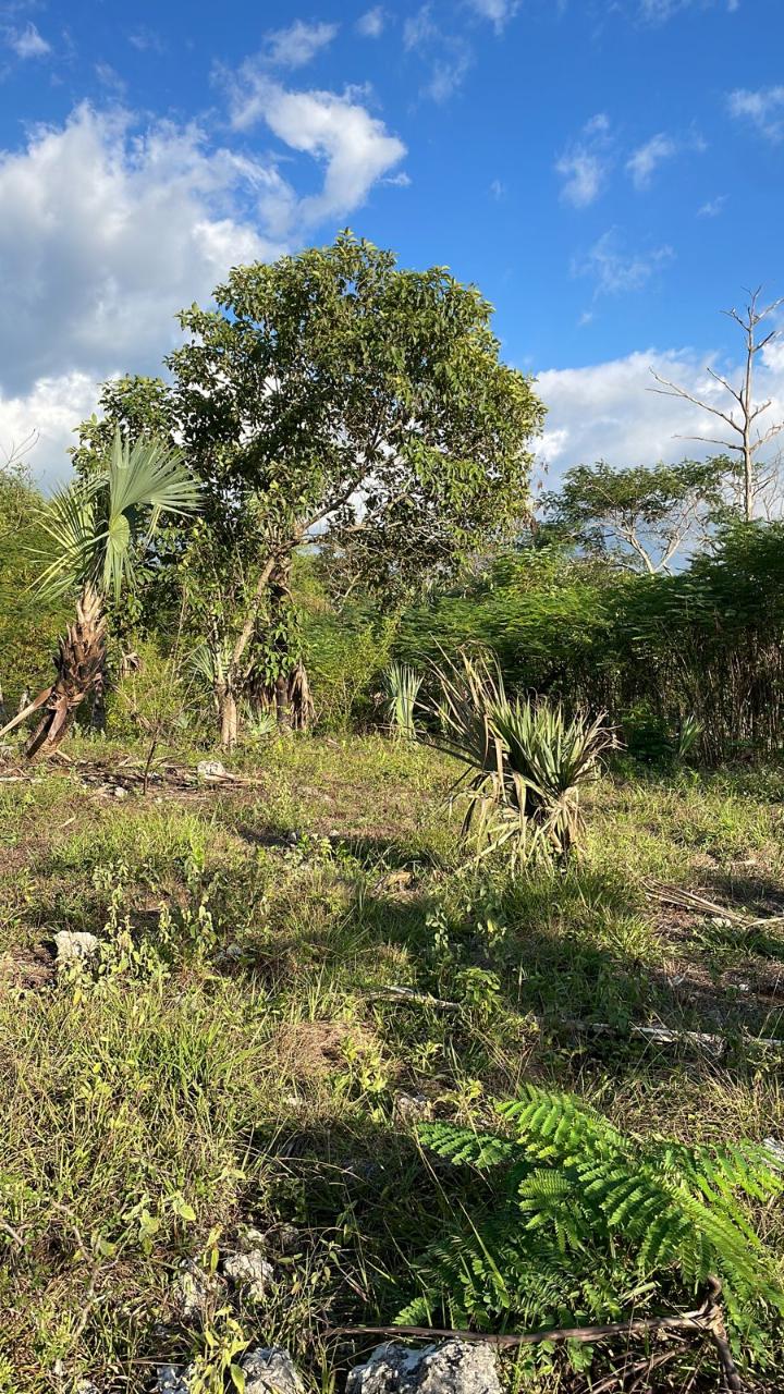 Residential Lot For Sale SANTA CRUZ MAIN RD, Santa Cruz 6,000,000 Keez