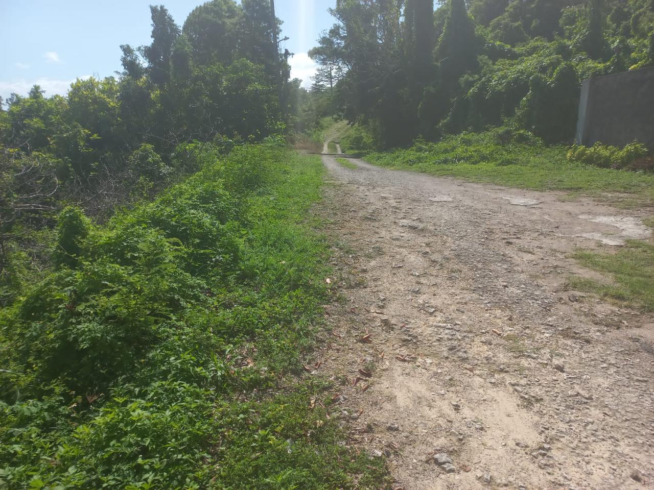 Residential Lot For Sale WENTWORTH, ST. MARY, Port Maria 65,000 Keez