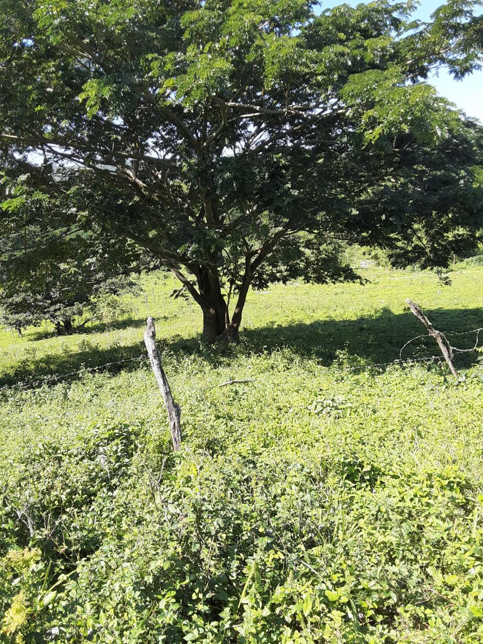 Development Land (Residential) For Sale SPRING GARDEN RD, Spring