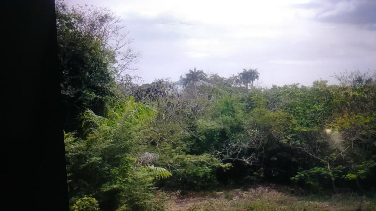 Development Land (Residential) For Sale LITTLE RIVER, IRONSHORE, Montego Bay 120,000,000 Keez