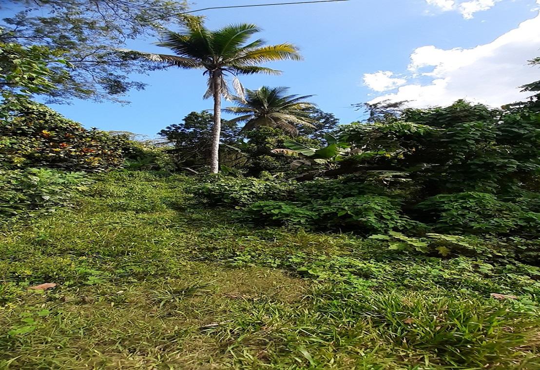 Development Land (Residential) For Sale ELYSIUM PARADISE, HOPE BA, Hope Bay 82,500,000 Keez