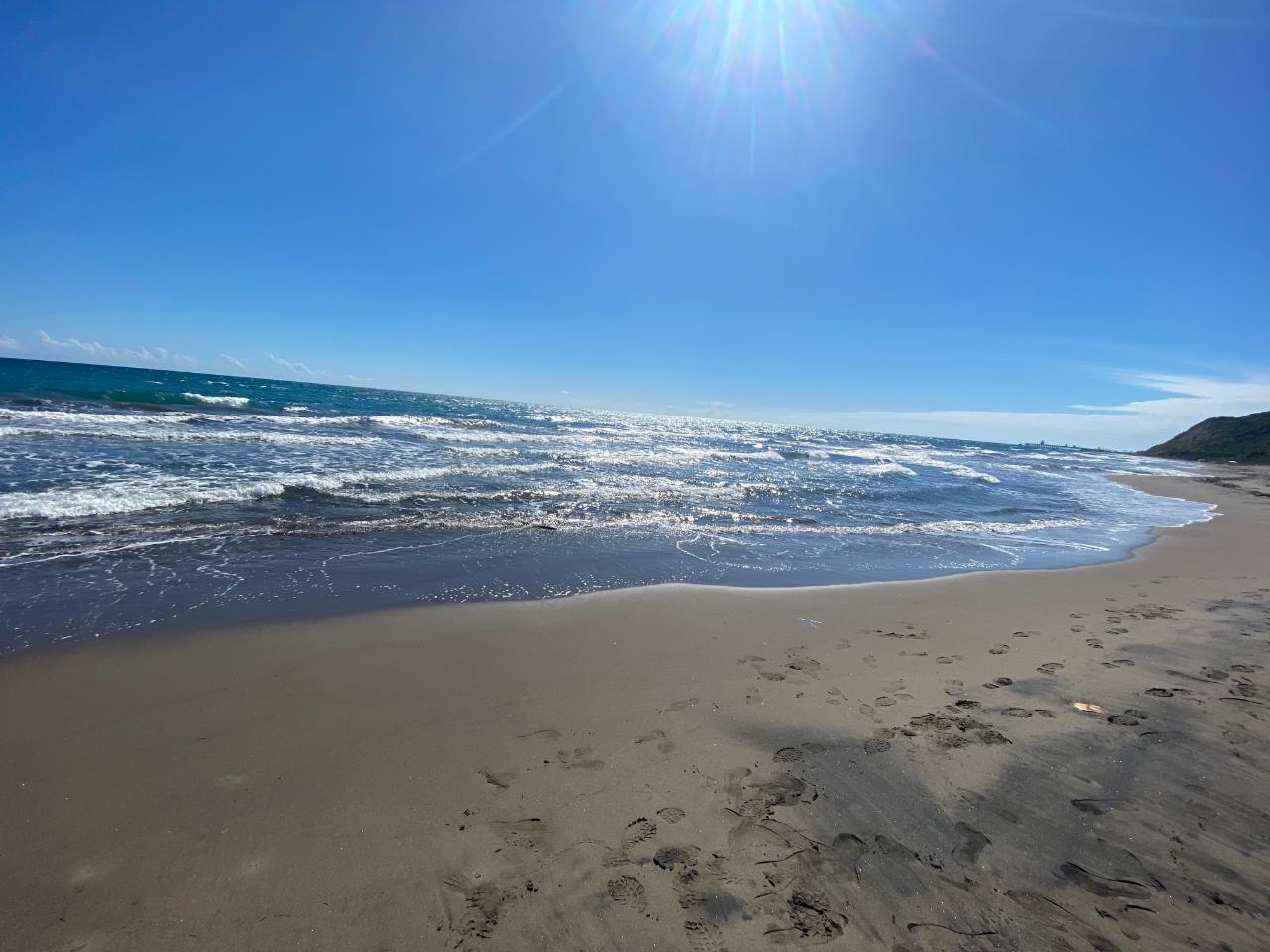 Development Land (Residential) For Sale ALLIGATOR POND, Aligator Pond