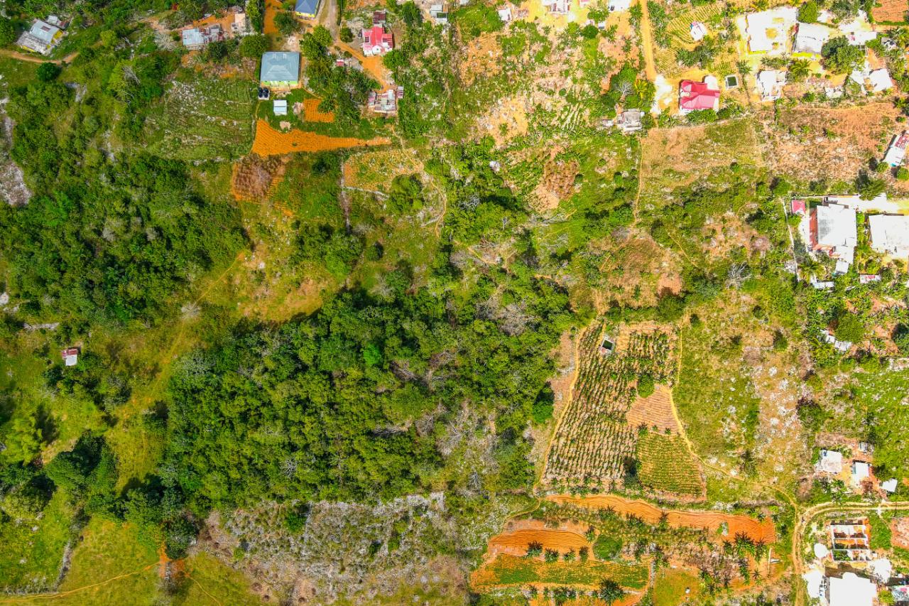 Development Land (Residential) For Sale CHEAPSIDE, WALDERSTON P.O