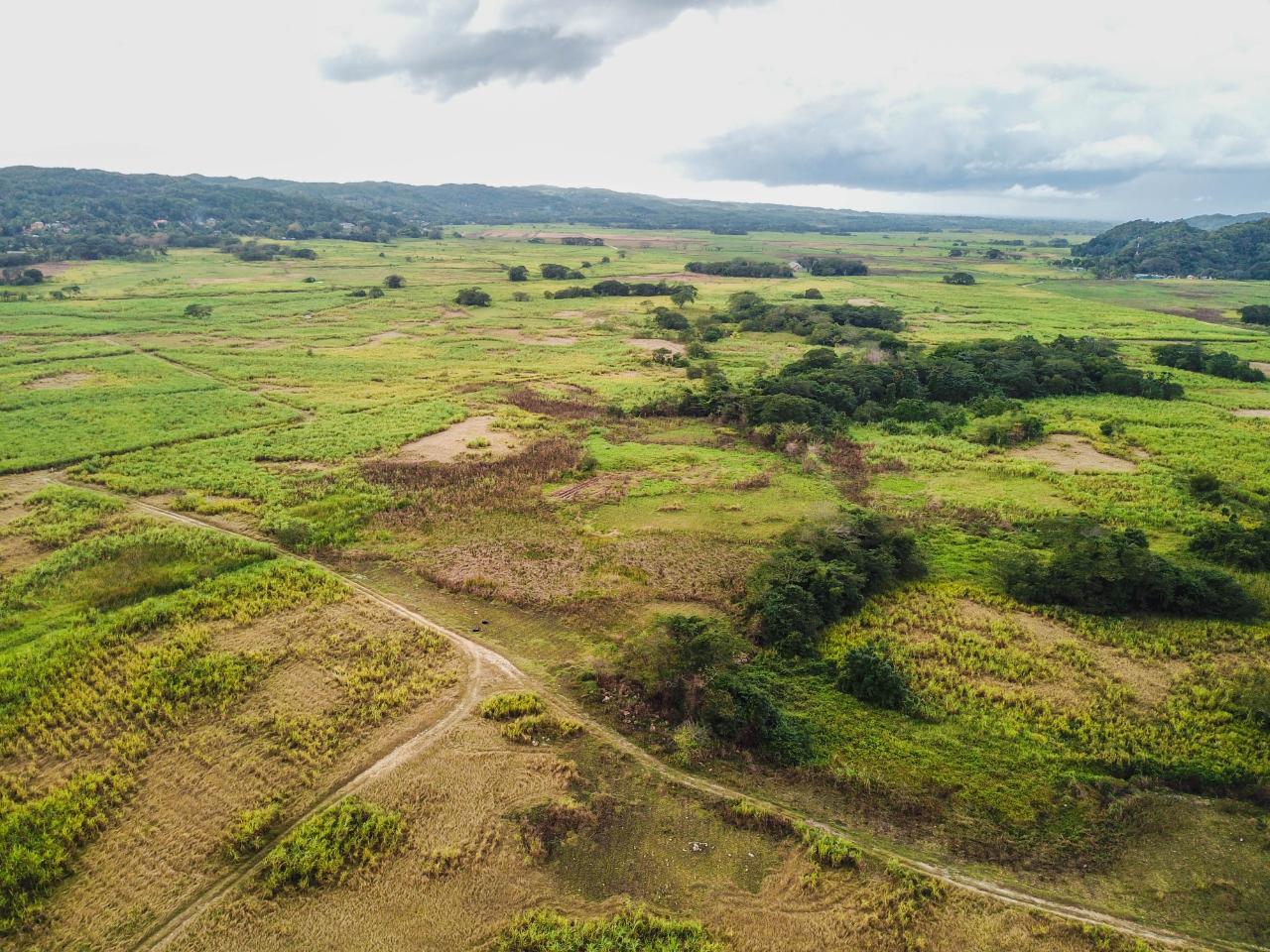 Development Land (Residential) For Sale NEW HOPE NEGRIL, Little London