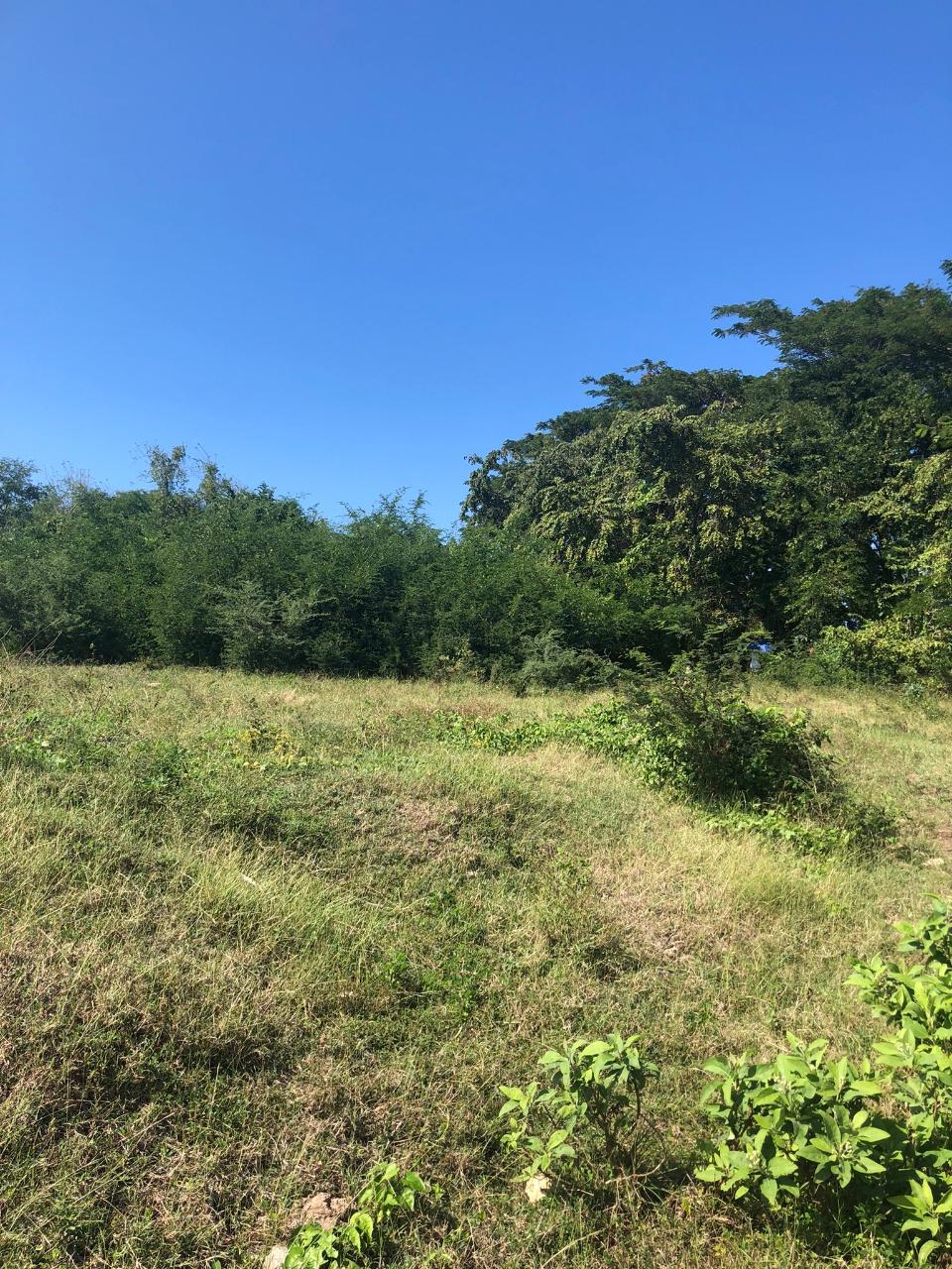 Development Land (Residential) For Sale HAUGHTON COURT, Lucea