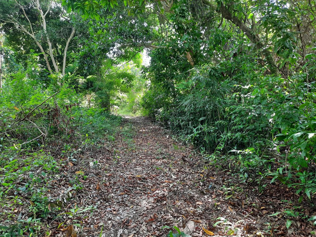 Residential Lot For Sale BRAMPTON BRYAN, Albert Town 1,200,000 Keez