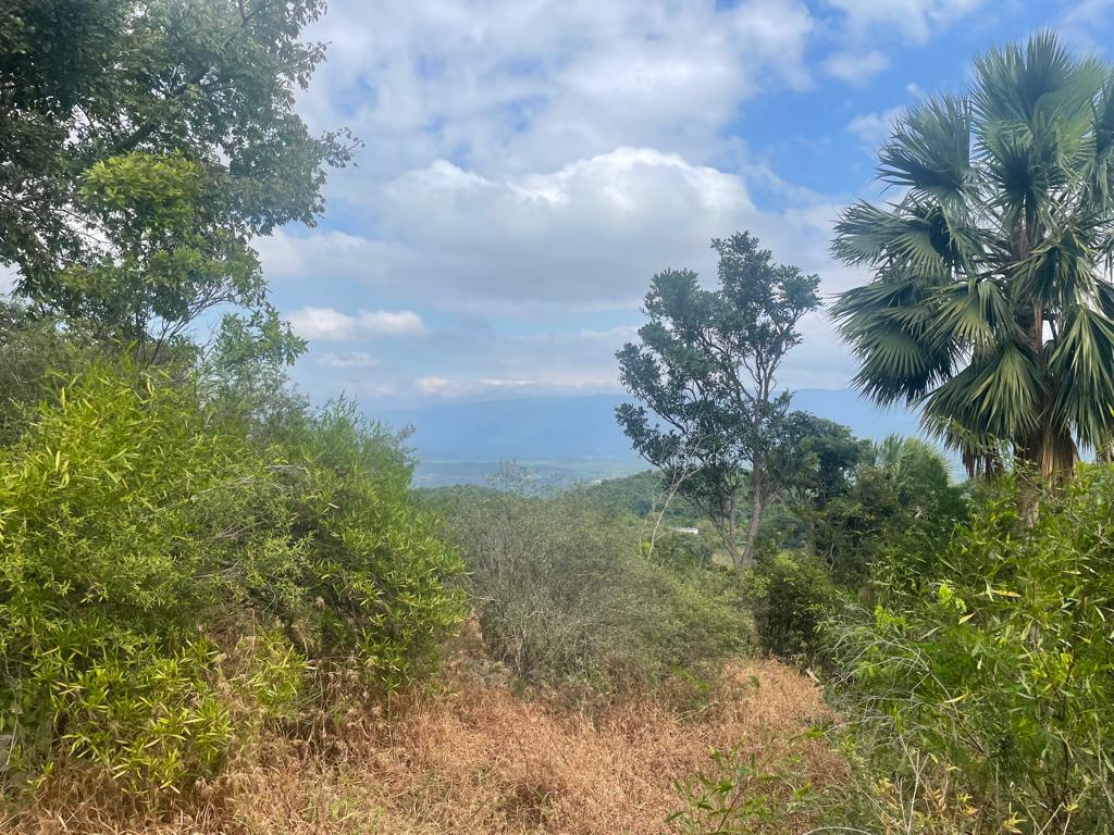 Development Land (Residential) For Sale GINGER GROUND, Malvern